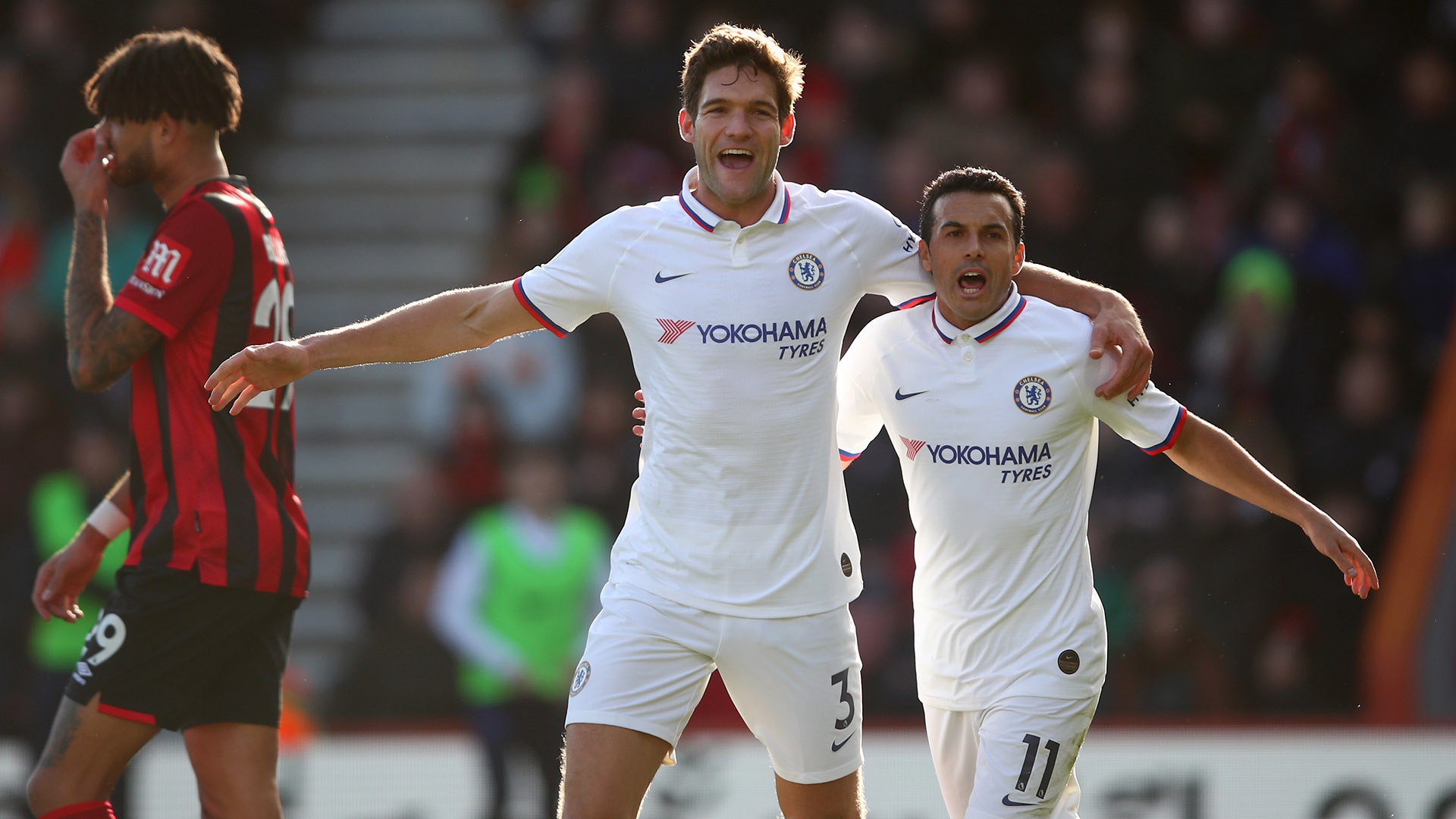 中国羽毛球 中国羽毛球